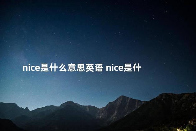 nice是什么意思英语 nice是什么软件
